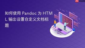如何使用 Pandoc 为 HTML 输出设置自定义文档标题