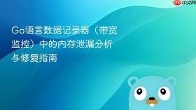 Go语言数据记录器（带宽监控）中的内存泄漏分析与修复指南
