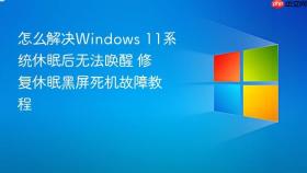 怎么解决windows 11系统休眠后无法唤醒 修复休眠黑屏死机故障教程
