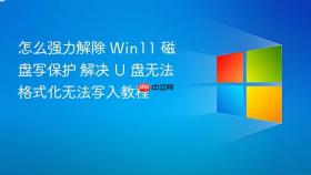 怎么强力解除 win11 磁盘写保护 解决 u 盘无法格式化无法写入教程