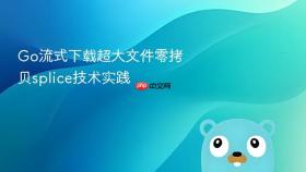 go流式下载超大文件零拷贝splice技术实践