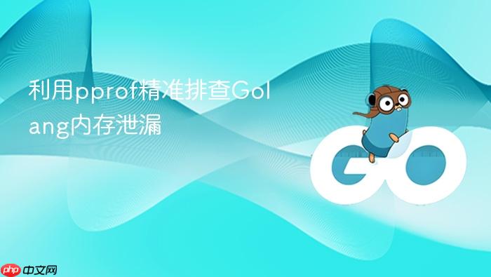 利用pprof精准排查golang内存泄漏