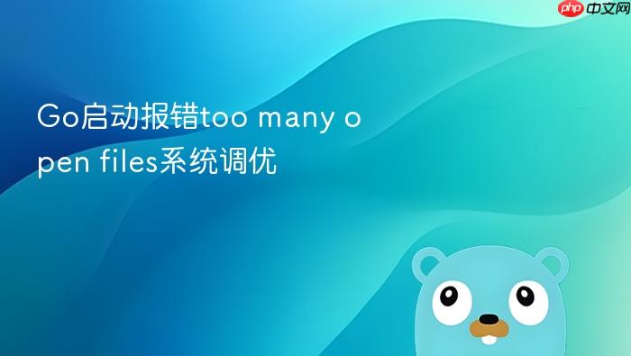 go启动报错too many open files系统调优