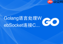 Golang语言处理WebSocket连接CloseStatus状态码