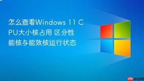 怎么查看windows 11 cpu大小核占用 区分性能核与能效核运行状态