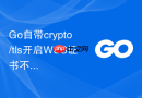 Go自带crypto/tls开启WSS证书不信任