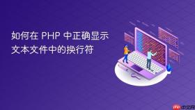 如何在 PHP 中正确显示文本文件中的换行符
