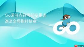Go常驻内存局部变量逃逸至全局指针排查