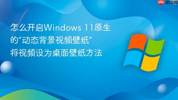 怎么开启windows 11原生的“动态背景视频壁纸” 将视频设为桌面壁纸方法