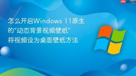 怎么开启windows 11原生的“动态背景视频壁纸” 将视频设为桌面壁纸方法