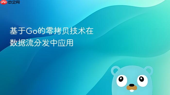 基于go的零拷贝技术在数据流分发中应用