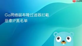 Go网络层布隆过滤器拦截恶意IP黑名单