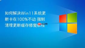 如何解决win11系统更新卡在100%不动 强制清理更新缓存修复教程