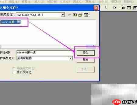 Authorware导入电影方法