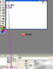 Authorware导入电影方法