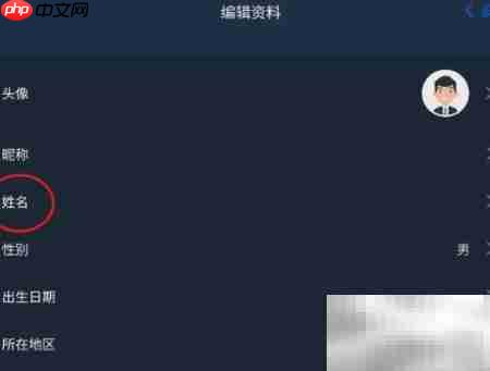 PIE Pilot姓名修改指南