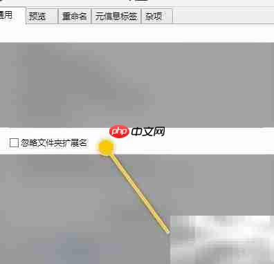 ReNamer忽略文件夹扩展名设置