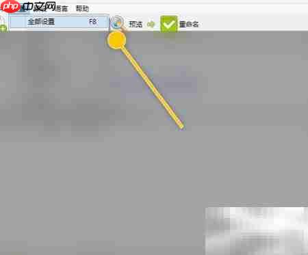 renamer忽略文件夹扩展名设置