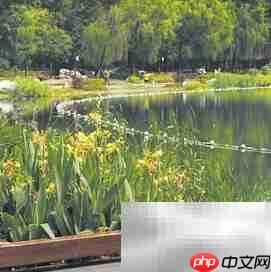 社区治理新路径