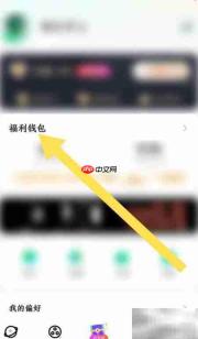 星芽提现记录查看方法