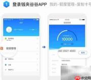 钱夹谷谷使用指南