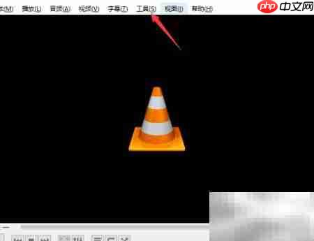 VLC关闭加密随机化TV