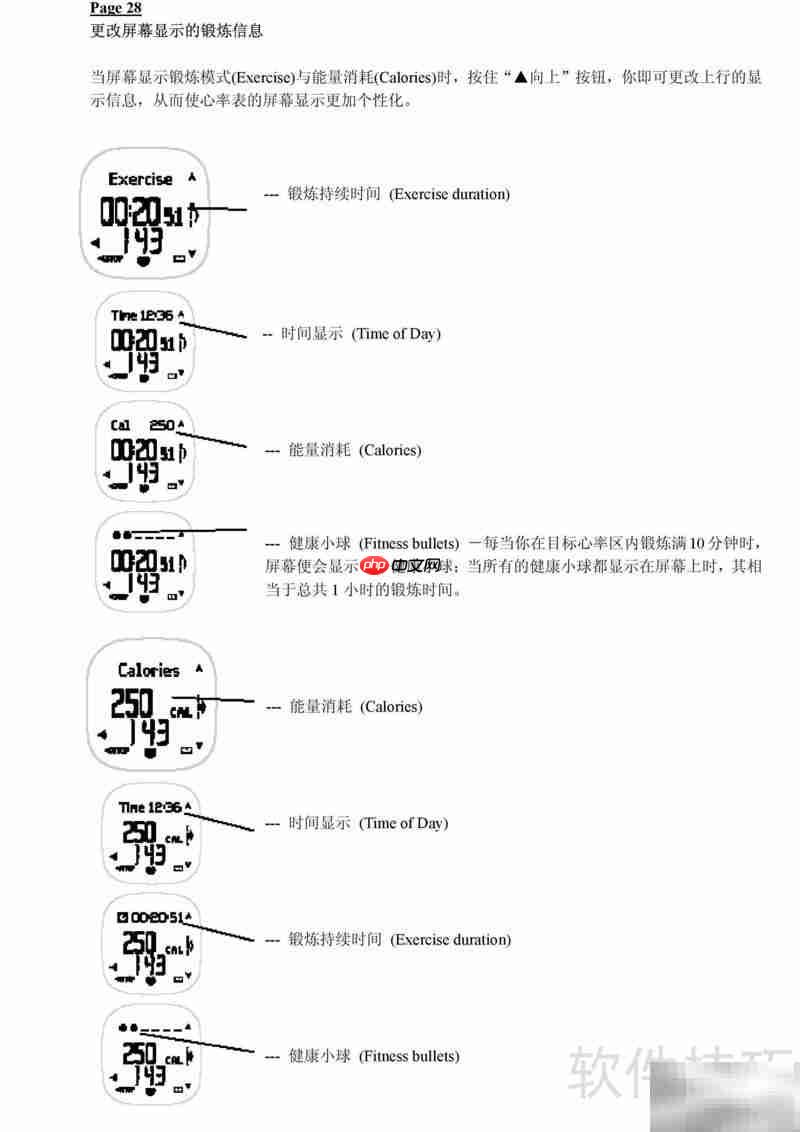 Polar F11心率表使用指南