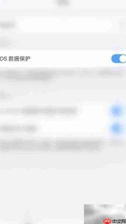 PDF Expert关闭iOS数据保护方法