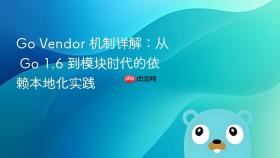 Go Vendor 机制详解:从 Go 1.6 到模块时代的依赖本地化实践