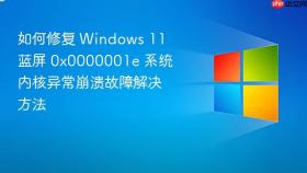 如何修复 windows 11 蓝屏 0x0000001e 系统内核异常崩溃故障解决方法