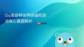 go高级研发网络编程面试核心真题解析
