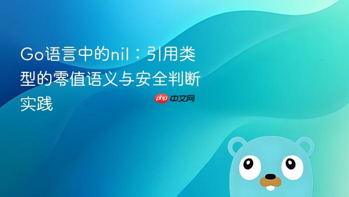 Go语言中的nil:引用类型的零值语义与安全判断实践