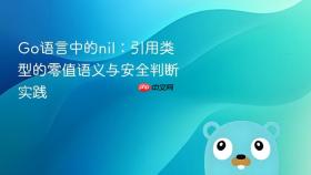Go语言中的nil：引用类型的零值语义与安全判断实践

