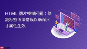 HTML 图片模糊问题:修复标签语法错误以确保尺寸属性生效
