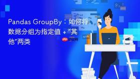 Pandas GroupBy：如何将数据分组为指定值 + “其他”两类
