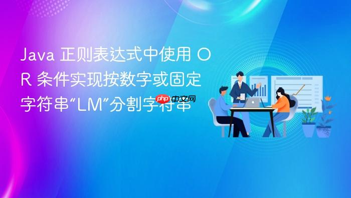 Java 正则表达式中使用 OR 条件实现按数字或固定字符串“LM”分割字符串