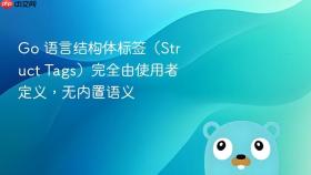 Go 语言结构体标签(Struct Tags)完全由使用者定义,无内置语义