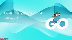 go客户端报错origin not allowed