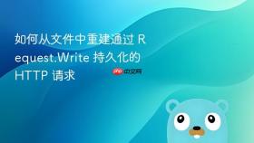 如何从文件中重建通过 Request.Write 持久化的 HTTP 请求