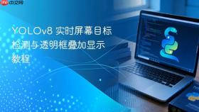 YOLOv8 实时屏幕目标检测与透明框叠加显示教程