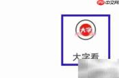 大字如何提交意见反馈