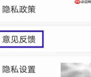 大字如何提交意见反馈