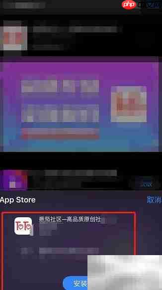 番茄社区Beta过期解决方法