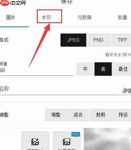Polarr添加自定义水印教程