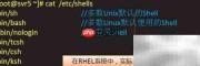Shell入门使用指南