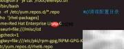 Shell入门使用指南