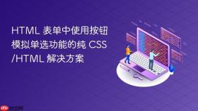 HTML 表单中使用按钮模拟单选功能的纯 CSS/HTML 解决方案