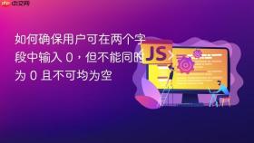 如何确保用户可在两个字段中输入 0,但不能同时为 0 且不可均为空