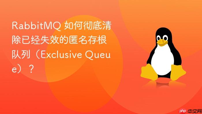 rabbitmq 如何彻底清除已经失效的匿名存根队列(exclusive queue)?