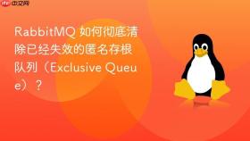 RabbitMQ 如何彻底清除已经失效的匿名存根队列（Exclusive Queue）？